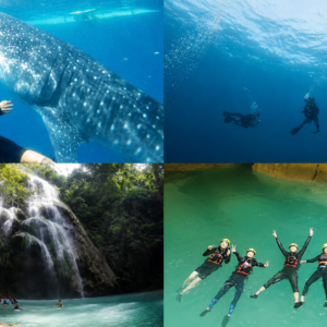 Whaleshark Encounter, Tumalog Falls, Sumilon Sandbar, & Kawasan Canyoneering Tour
